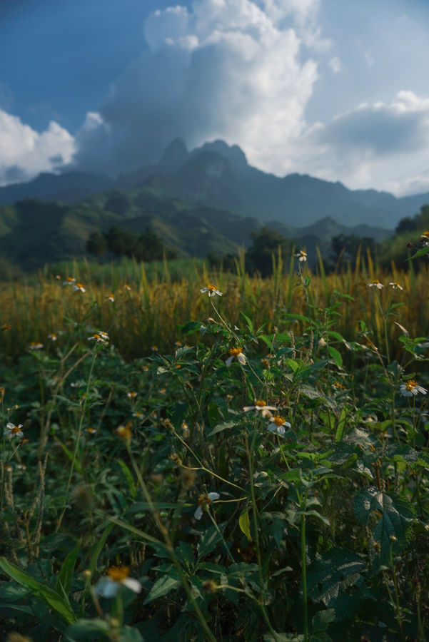 North Vietnam