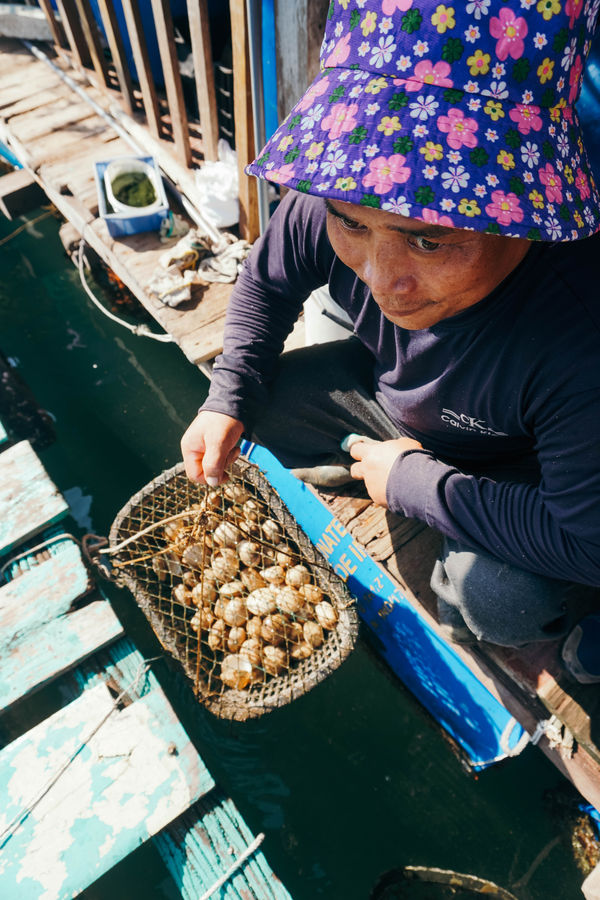 Vietnamese Fishermen North Vietnam